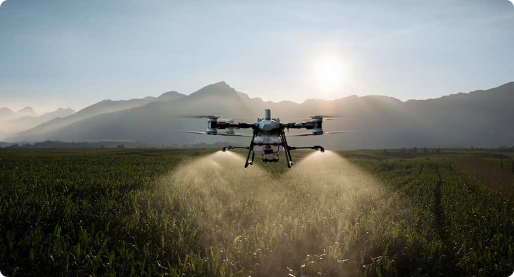 Corn Field Application